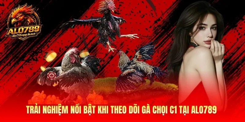 Trải nghiệm nổi bật khi theo dõi gà chọi C1 tại Alo789 
