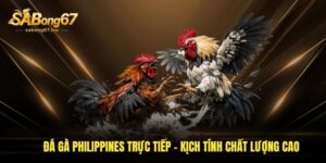 Đá Gà Philippines Trực Tiếp