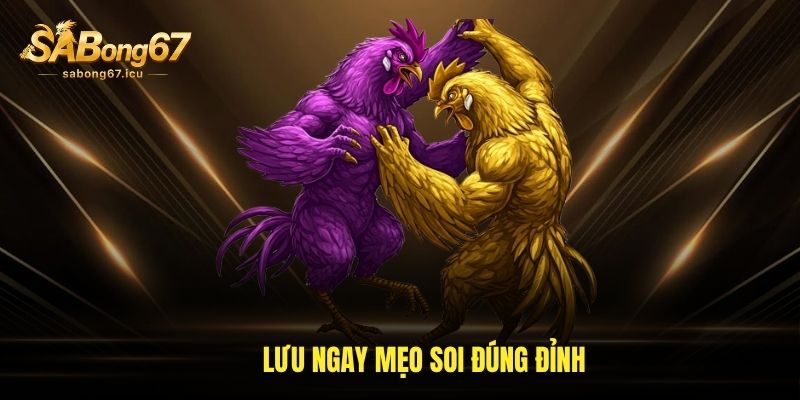 Lưu ngay mẹo soi đúng đỉnh